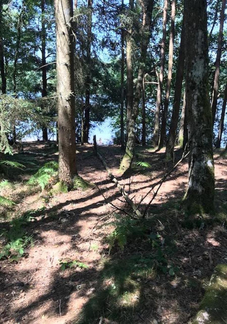 Morvan La Pastourelle Quarré-les-Tombes Buitenkant foto