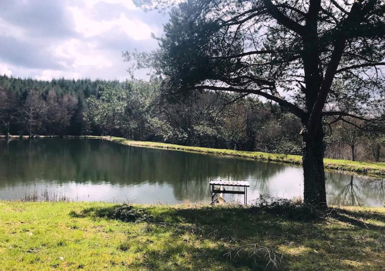Morvan La Pastourelle Quarré-les-Tombes Buitenkant foto